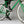 Laden Sie das Bild in den Galerie-Viewer, 3 Paar Atmungsaktive Quarter Coolmax Fahrrad-Socken für Herren &amp; Damen (50302P)
