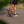 Sneaker Sportsocken